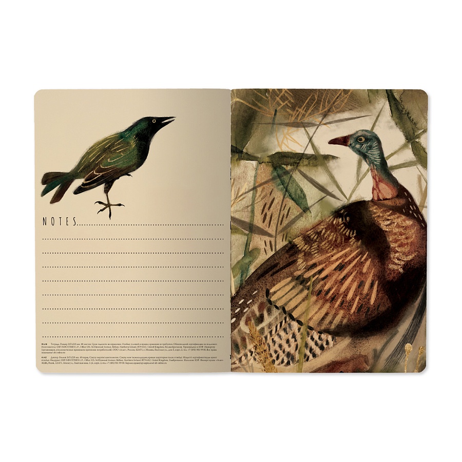 Тетрадь Птицы А5 40 л клетка