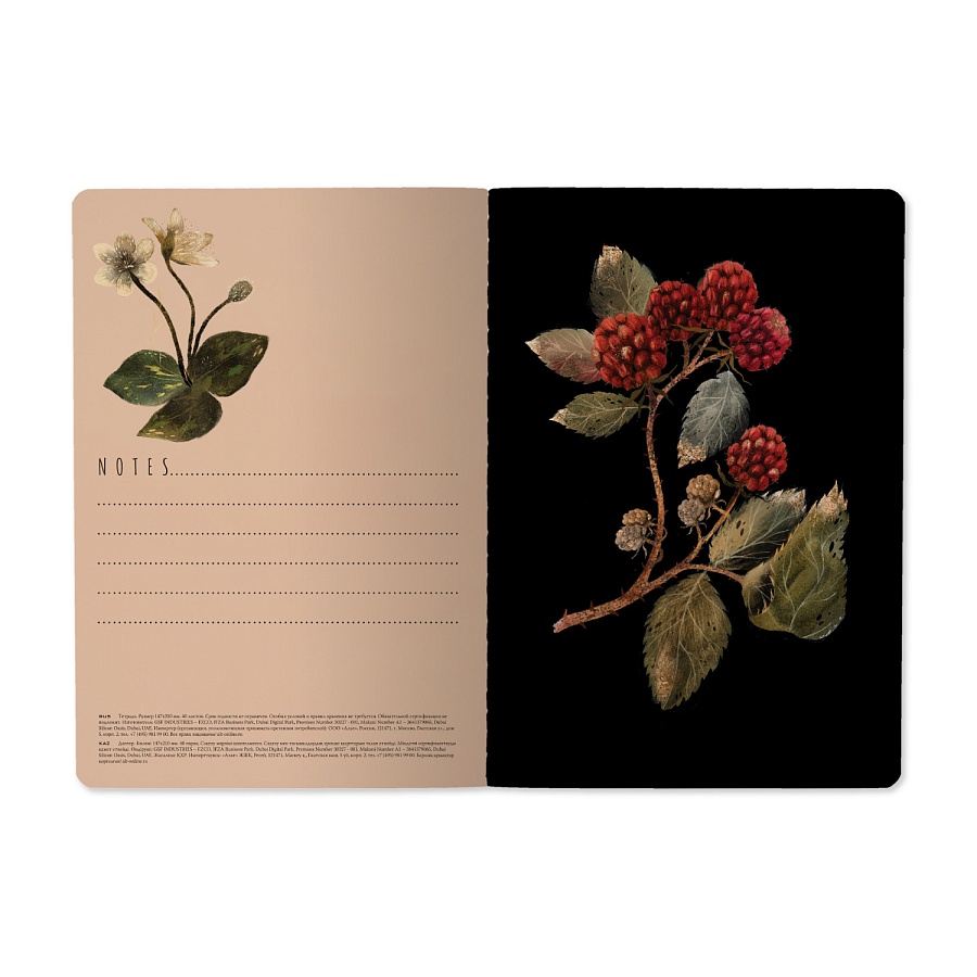 Тетрадь Воробей  А5 40 л клетка