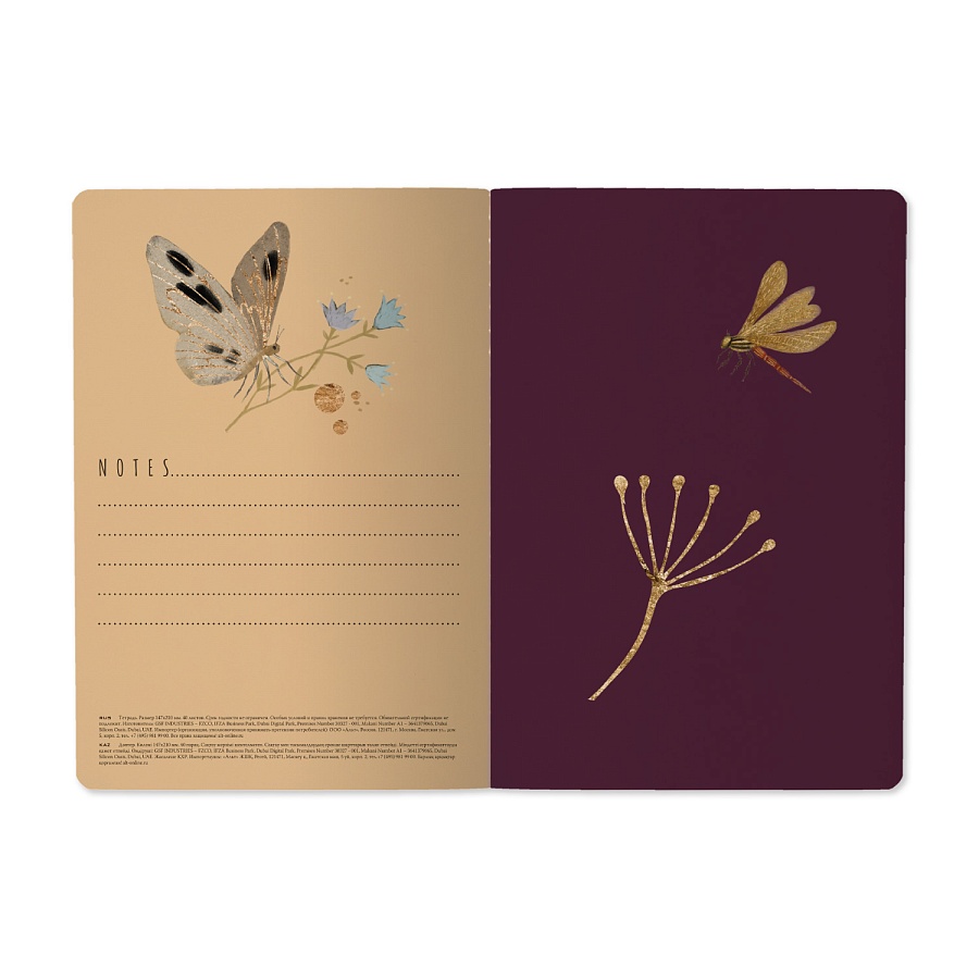 Тетрадь Бабочки. Ночные цветы А5 40 л клетка