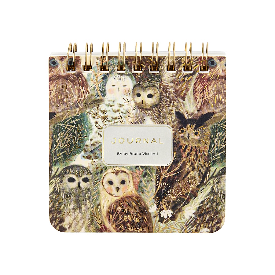 Карманный блокнот BRUNO VISCONTI Волшебные совы 9*9см 60 л, спираль