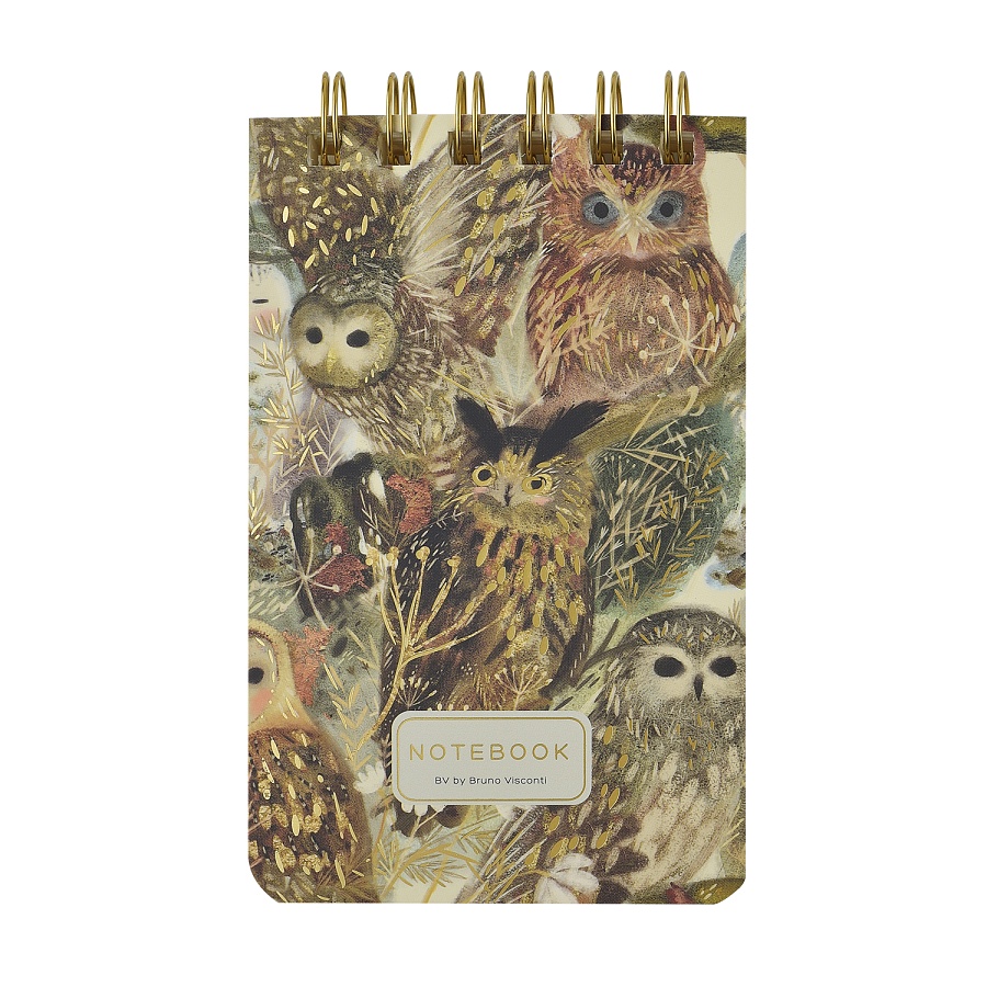 Блокнот BRUNO VISCONTI Fauna Волшебные совы А6- 100 л, спираль