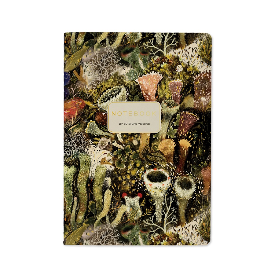 Тетрадь Эльфийский лес А5 40 л, клетка