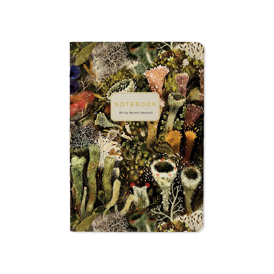 Тетрадь Эльфийский лес А6 32 л, линейка